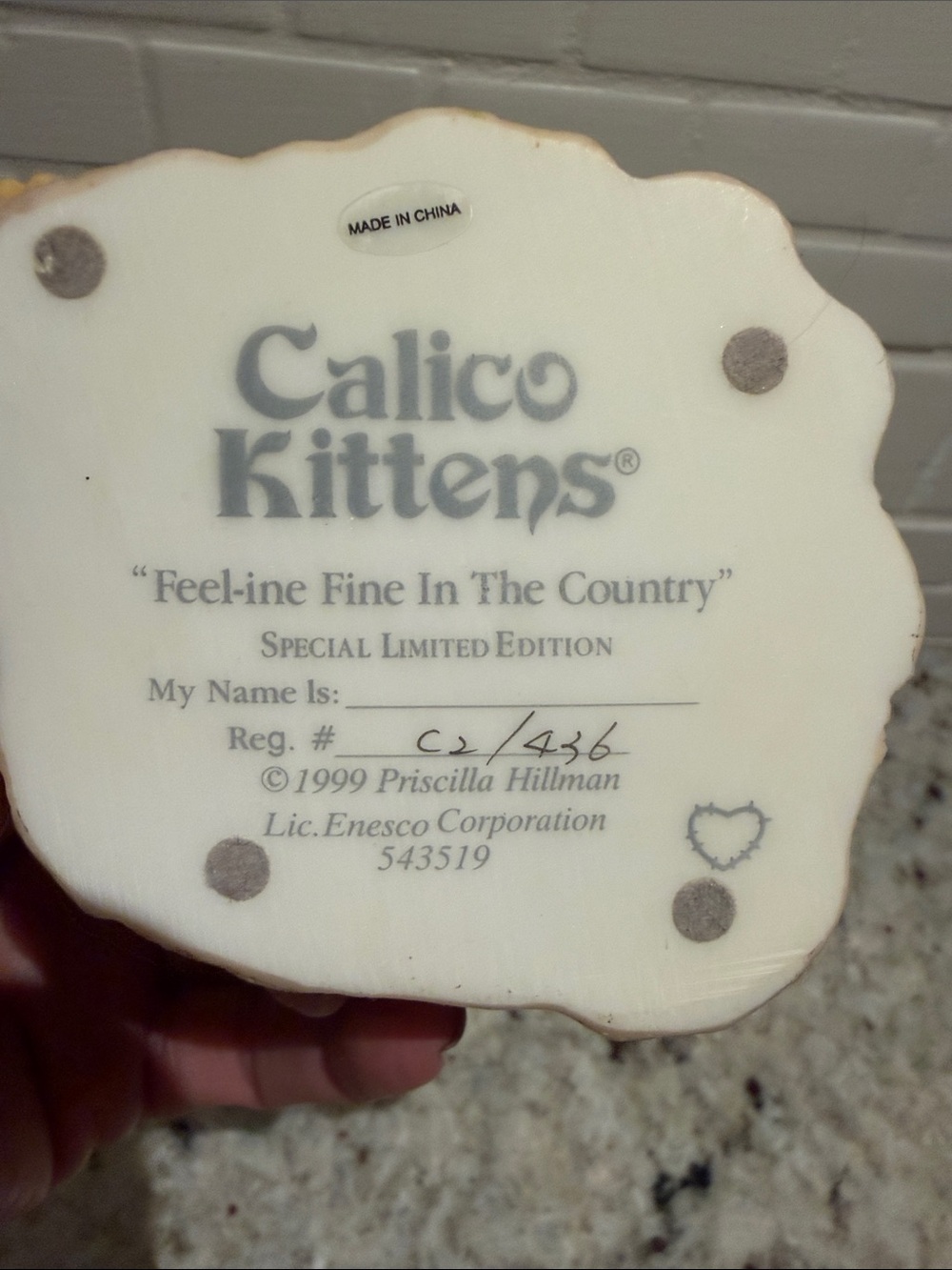Calico Kittens - Picture 2 of 2